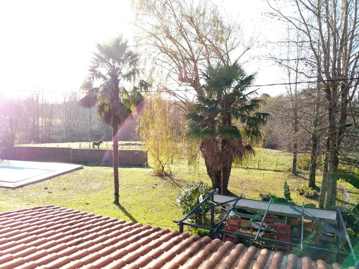 La Metairie De Biaudos Bed & Breakfast Eksteriør bilde